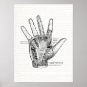  anatomie Kunst Het palm van de hand Poster (Voorkant)