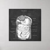 Anatomie Kunst Intestinale Gastro-enteroloog Decor Canvas Afdruk (Voorkant)