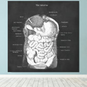 Anatomie Kunst Intestinale Gastro-enteroloog Decor Canvas Afdruk (Insitu (Houten vloer))