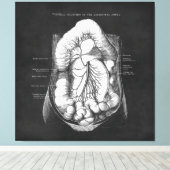 Anatomie Kunst van het spijsverteringsstelsel Doct Canvas Afdruk (Insitu (Houten vloer))