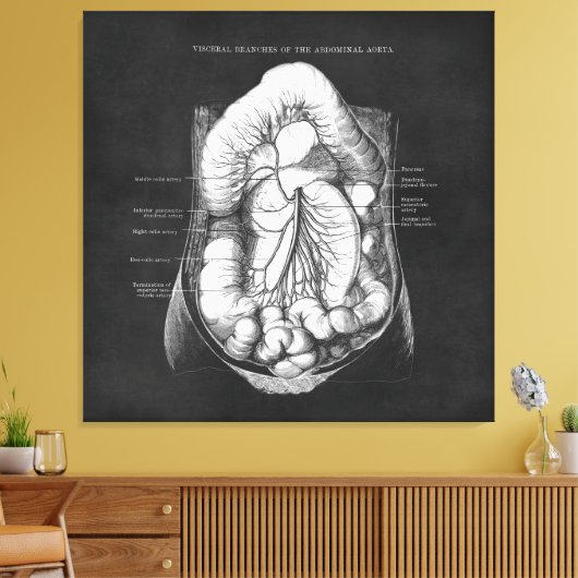 Anatomie Kunst van het spijsverteringsstelsel Doct Canvas Afdruk (Insitu (Woonkamer))