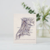 anatomie Kunstnekspieren oud papier Briefkaart (Staand voorkant)