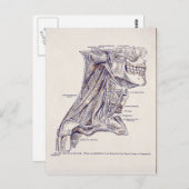 anatomie Kunstnekspieren oud papier Briefkaart (Voorkant / Achterkant)