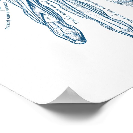 anatomie Kunstspieren van het handblauw Poster (Hoek)