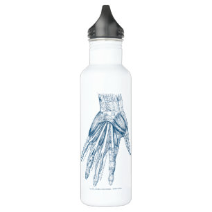 anatomie Kunstspieren van het handblauw Waterfles