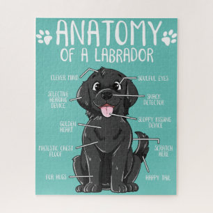 Anatomie labrador retriever zwart lab hond eigenaa legpuzzel