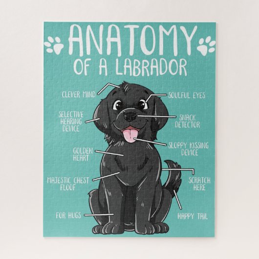 Anatomie labrador retriever zwart lab hond eigenaa legpuzzel (Verticaal)