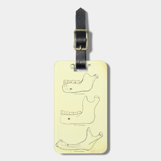 anatomie | Lager Jaw Bagagelabel (Voorkant verticaal)