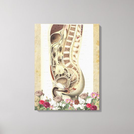 anatomie medische canvas kunstdruk (Voorkant)