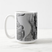 Anatomie Medische Mok (Links)