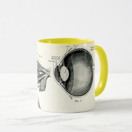 Anatomie - menselijke zintuigen mok (Voorkant rechts)