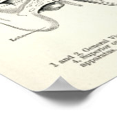 Anatomie - menselijke zintuigen poster (Hoek)