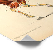 Anatomie met  paarden Afdrukspieren Poster (Hoek)