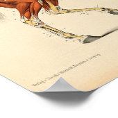 Anatomie met  paarden Afdrukspieren Poster (Hoek)