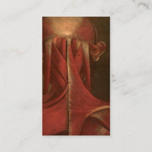  anatomie | Neck Visitekaartje (Voorkant)