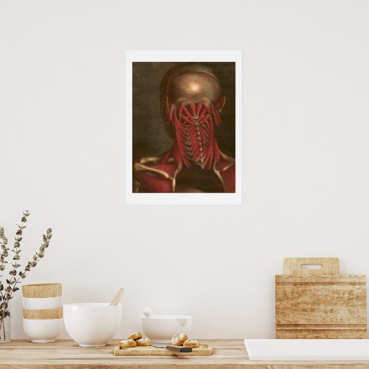 anatomie | Nek en schouders Poster (Keuken)