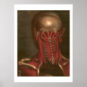  anatomie | Nek en schouders Poster (Voorkant)
