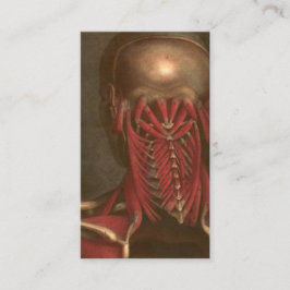  anatomie | Nek en schouders Visitekaartje