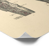 Anatomie  poot 1880 Afdrukken Poster (Hoek)