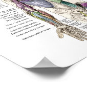 Anatomie Poster Anterieur Posterior (Hoek)