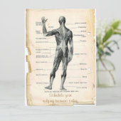 Anatomie Posterior Kaart (Staand voorkant)