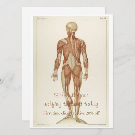 Anatomie Posterior Kaart (Voorkant / Achterkant)