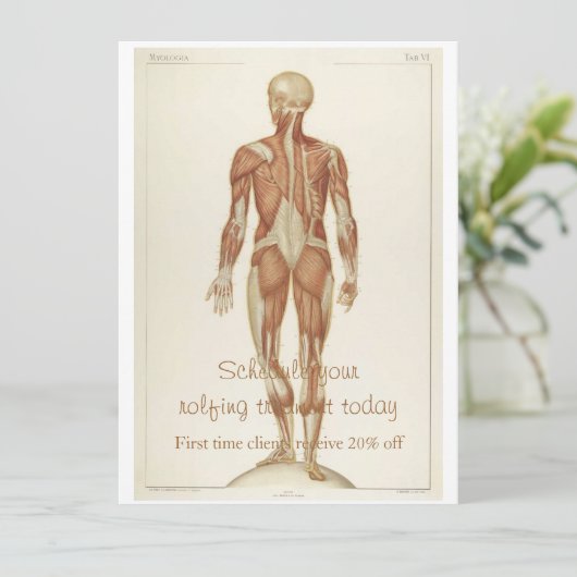 Anatomie Posterior Kaart (Staand voorkant)