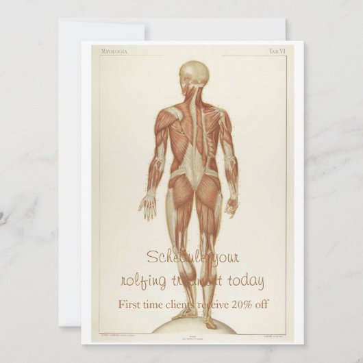 Anatomie Posterior Kaart (Voorkant)