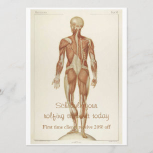 Anatomie Posterior Kaart