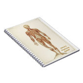 Anatomie Posterior Notitieboek (Rechterzijde)