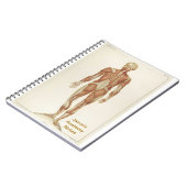 Anatomie Posterior Notitieboek (Linkerzijde)