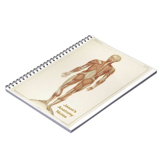 Anatomie Posterior Notitieboek (Linkerzijde)