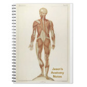 Anatomie Posterior Notitieboek (Voorkant)