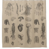 Anatomie Print Douchegordijn (Voorkant)