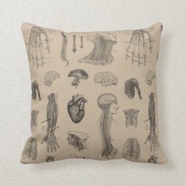  Anatomie Print Kussen