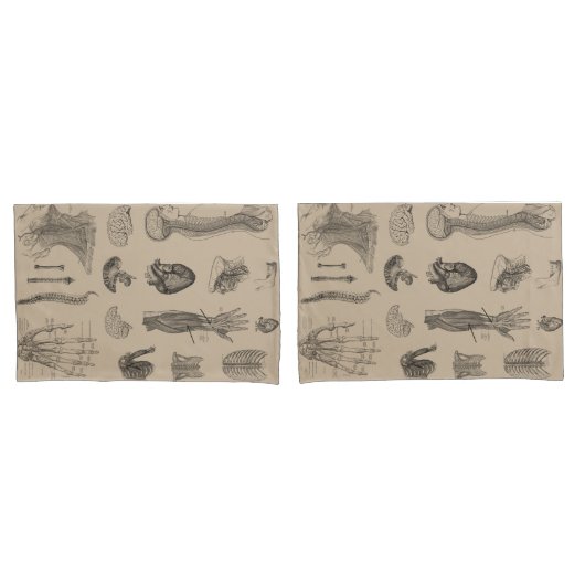  Anatomie Print Kussensloop (Voorkant-Set)