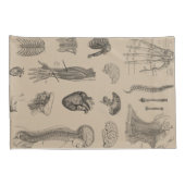 Anatomie Print Kussensloop (Achterkant-Rechts)