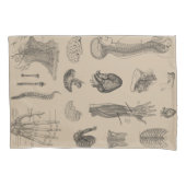 Anatomie Print Kussensloop (Voorkant-Links)