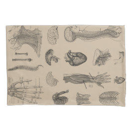  Anatomie Print Kussensloop