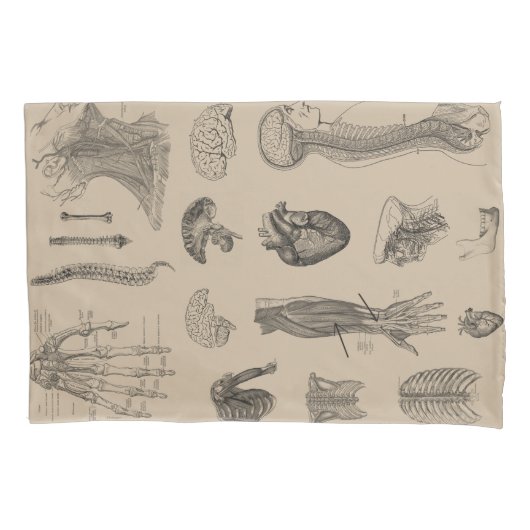  Anatomie Print Kussensloop (Voorkant-Links)