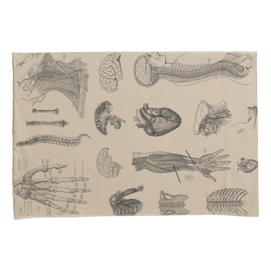  Anatomie Print Kussensloop (Voorkant-Rechts)