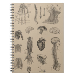 Anatomie Print Notitieboek