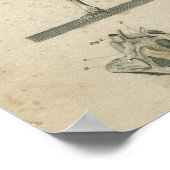 Anatomie Print Skeleton (Hoek)