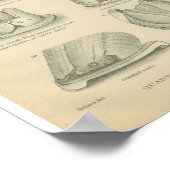  anatomie printplaat poster (Hoek)