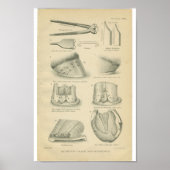  anatomie printplaat poster (Voorkant)