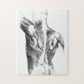  anatomie | Rugspieren (ongeveer 1852) | B/W Legpuzzel (Verticaal)