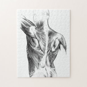  anatomie   Rugspieren (ongeveer 1852)   B/W Legpuzzel