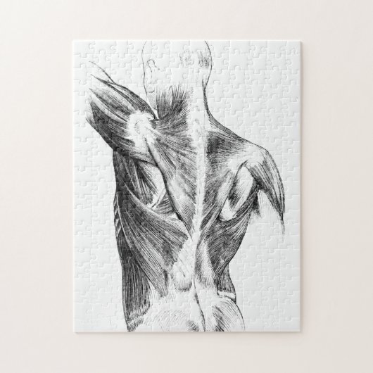  anatomie | Rugspieren (ongeveer 1852) | B/W Legpuzzel (Verticaal)