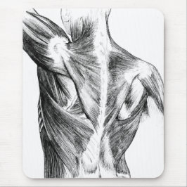  anatomie | Rugspieren (ongeveer 1852) | B/W Muismat