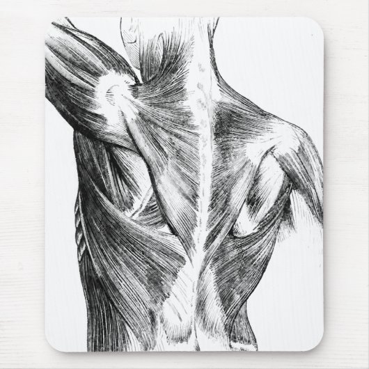 anatomie | Rugspieren (ongeveer 1852) | B/W Muismat (Voorkant)